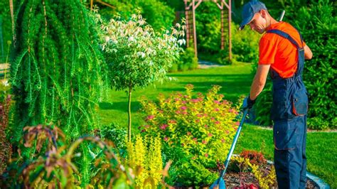 trabajos de jardinería de lunes a viernes|servicio de jardinería.